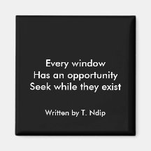 Window of Opportunity Magnets