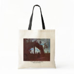 Window On The Moonlight Oybin By Carus Carl Gustav bags
