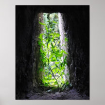 Window Plant Poster