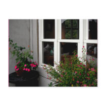 Window/ Postcard by riverme Window/ Postcard