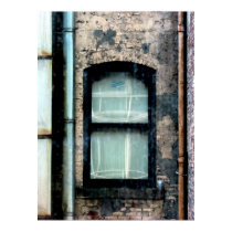 Window posters