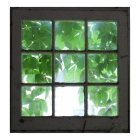Window print