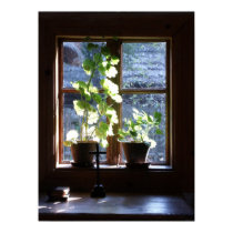Window posters