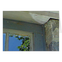 Window reflection cards by serenity_ii Window reflection cards