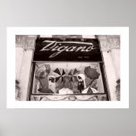 Window Shop Umbrellas posters