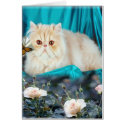 "Window Shopping" Card by dreamingagain "Window Shopping" Card