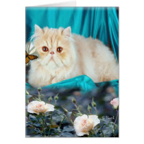 "Window Shopping" Card by dreamingagain "Window Shopping" Card