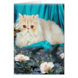 "Window Shopping" Card