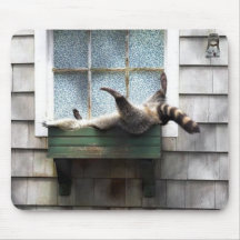 Window Sill Raccoon Mousepad