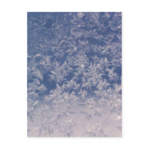 Window Snowflakes postcards