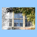 Window Treatment posters