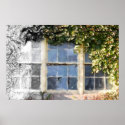 Window Treatment posters