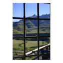 Window View posters