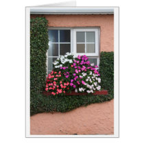Window with Impatiens cards
