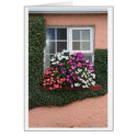 Window with Impatiens cards by kneimeier Window with Impatiens cards