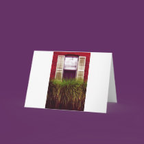 Windows and their Front cards