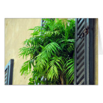 Windowsill