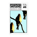WindSong postage