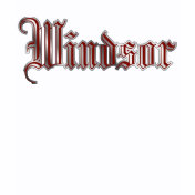 Windsor t-shirts