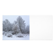 Windsor Winter White Christmas Picture Card