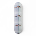 Windsurfing Basics Skateboard