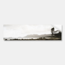 Windswept Beach Bumper Sticker