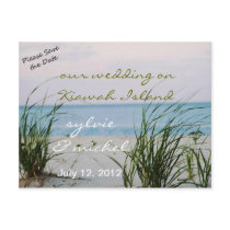 Windswept Beach Wedding Postcard