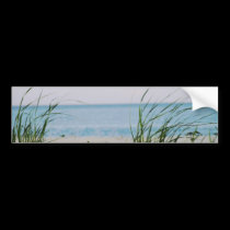 Windswept bumper stickers by ArtByLindaLou Windswept bumper stickers