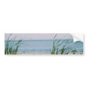 Windswept bumper stickers by ArtByLindaLou Windswept bumper stickers