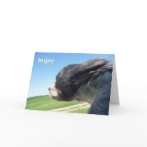 Windswept dog birthday card