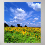 Windswept fields ans sky poster