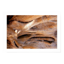 Windswept Juniper posters