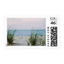 Windswept Postage Stamp