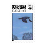 windswept stamp