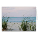 Windswept  Shores cards