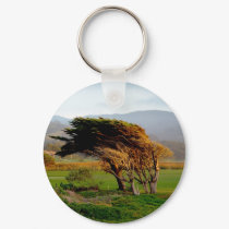 Windswept Trees keychains