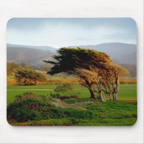 Windswept Trees mousepads
