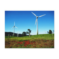 Windy Hill Giants Postcards