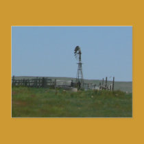 Windy Pasture postcards