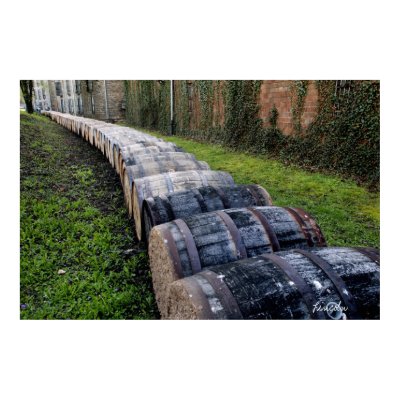 Wine Barrels (Print) by lincolnmaclean