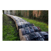 Wine Barrels (Print)