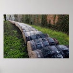 Wine Barrels (Print)