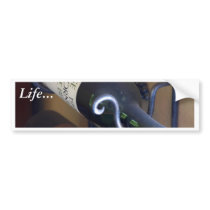Wine Bottles In A Rack bumper stickers