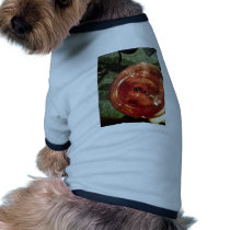 Wine By Bernadette Sebastiani pet clothing by sebastianiwine Wine By Bernadette Sebastiani pet clothing