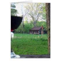 Wine cards