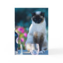 Wine cat cards by pshaw_photo Wine cat cards