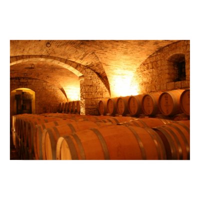 Wine Cellar Barrells Posters by pattirm1