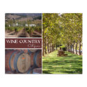Wine Country, California posters by lifethroughalens Wine Country, California posters