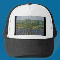 Wine Country hats