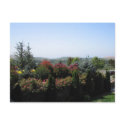 Wine Country postcards by TravellingSue Wine Country postcards